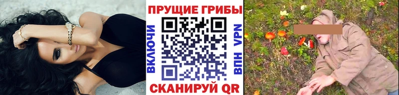 купить   Шумиха  kraken зеркало  Галлюциногенные грибы мицелий 